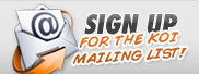 KOI Auto Parts Newsletter